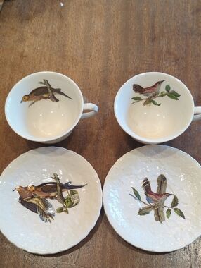 Pair Of Birds of America (Embossed Floral Rim) collection by Alfred Meakin
